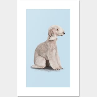 The Bedlington Terrier Posters and Art